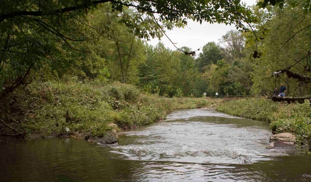 Beargrass Creek