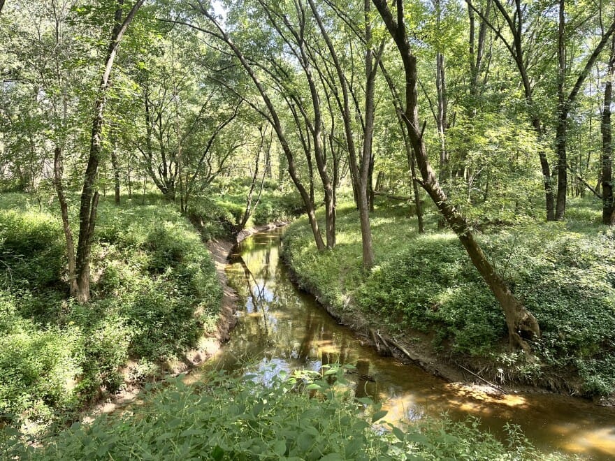 Mill Creek - Louisville Public Media