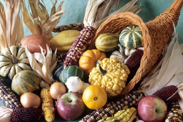 A wicker cornucopia spills out assorted gourds, squashes, apples, onions, garlic, an orange, and colorful ears of Indian corn against a green background, evoking a harvest or Thanksgiving theme.