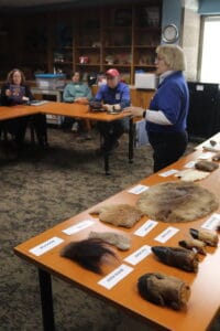 A woman stands and speaks to a seated group in a classroom. Animal pelts, furs, and labeled animal parts are displayed on a table in the foreground. Shelves and windows are visible in the background.