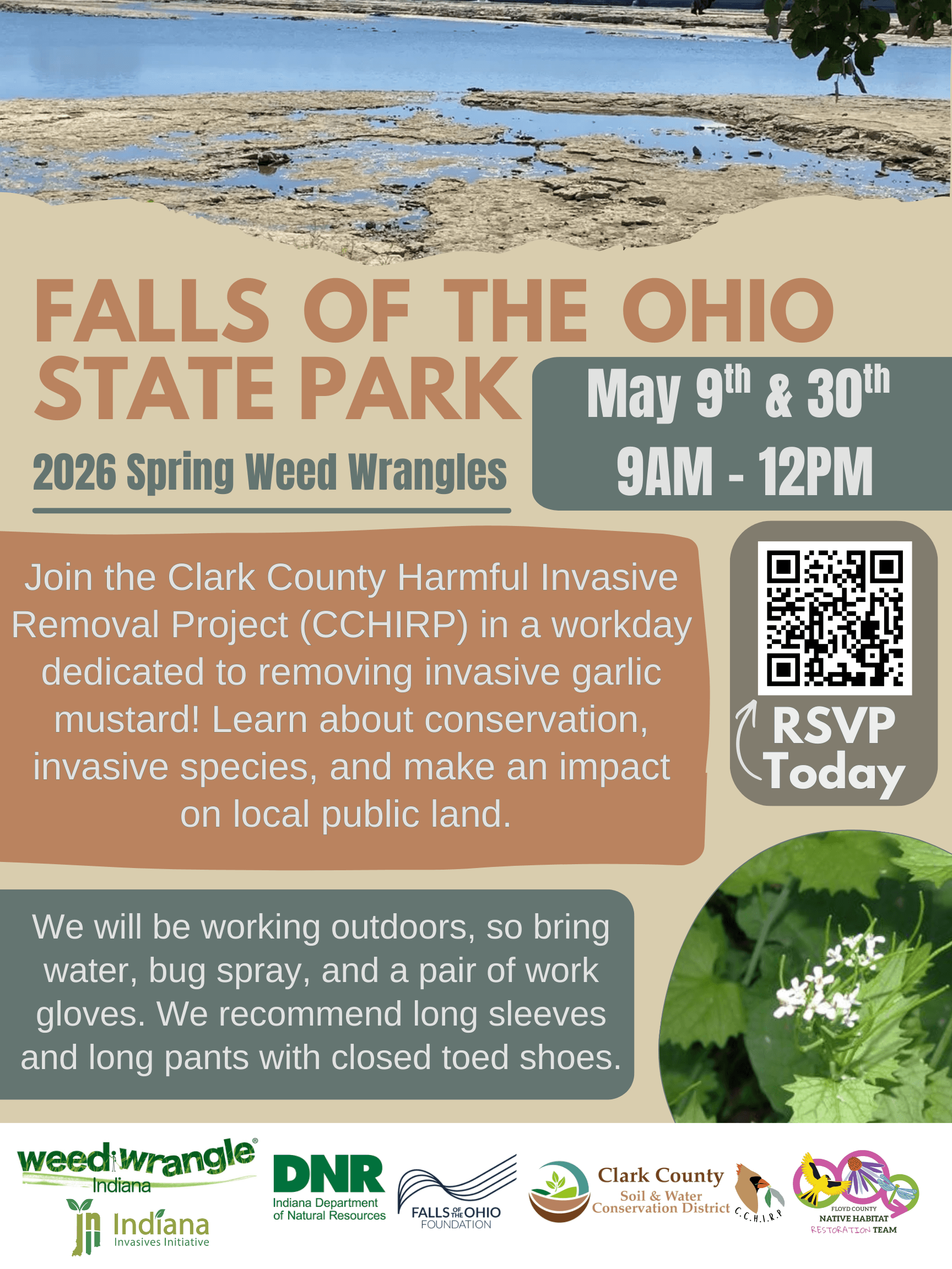 Promotional flyer for Falls of the Ohio State Park: 2026 Spring Weed Wrangles event on May 9 & 30, 9AM-12PM, focusing on removing invasive garlic mustard; RSVP details and outdoor attire recommendations included.