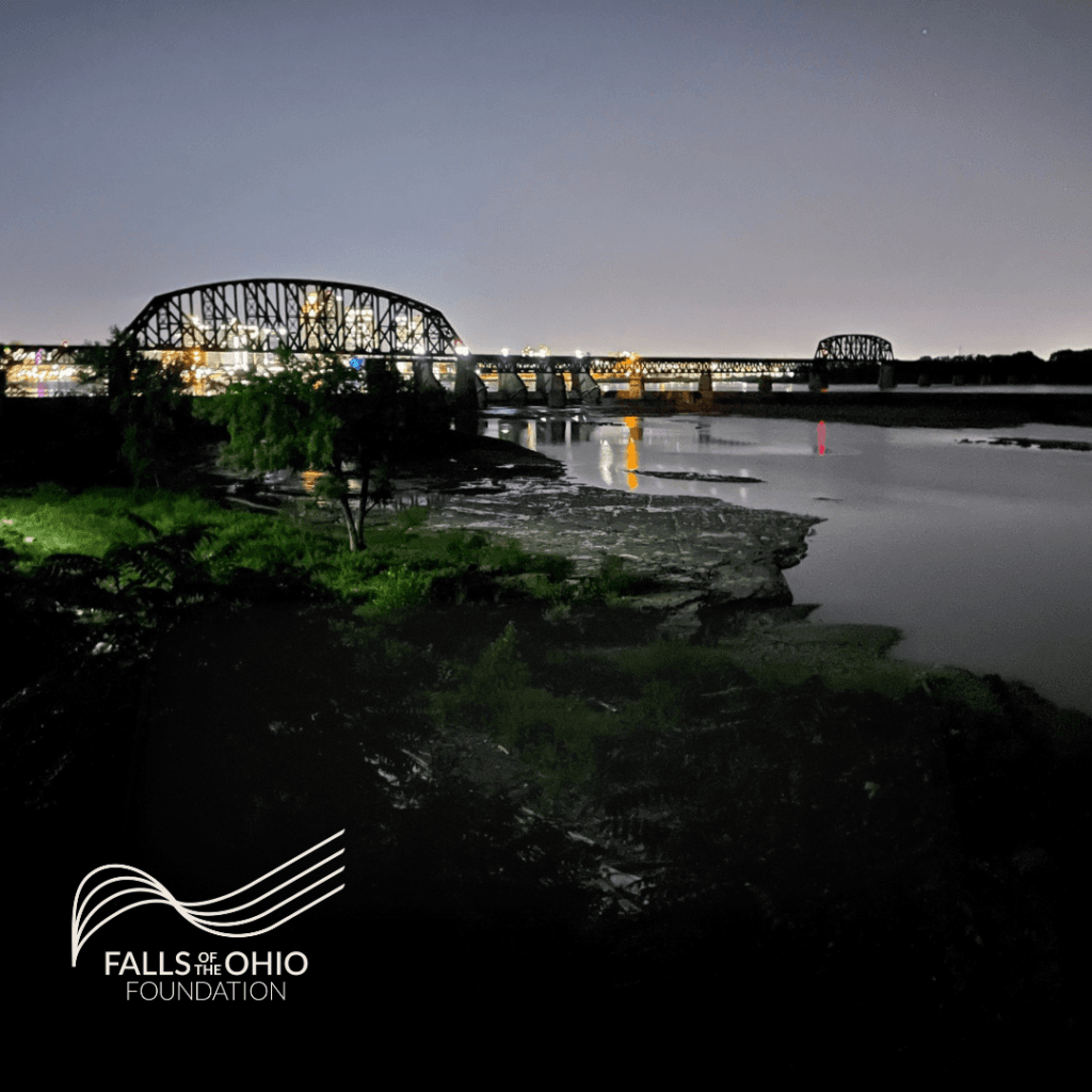 A nighttime view of a bridge with lights reflecting on the river below, surrounded by trees and dark greenery. The “Falls of Ohio Foundation” logo appears in the lower left corner.