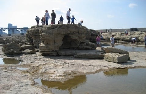 A group of people stands on and around a large, flat rock formation in a shallow, rocky area with small pools of water. Buildings and a bridge are visible in the background under a clear sky.